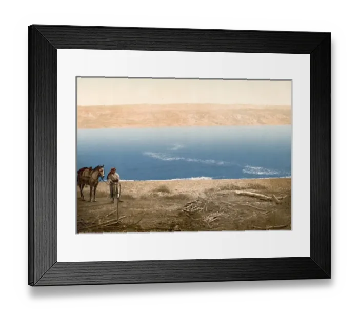 Framed Print : Man with horse standing near the Dead Sea Framed Print : Man with horse standing near the Dead Sea