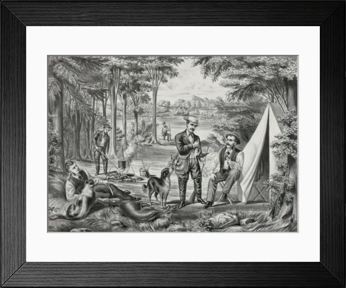 Framed Print : Life in the woods Framed Print : Life in the woods