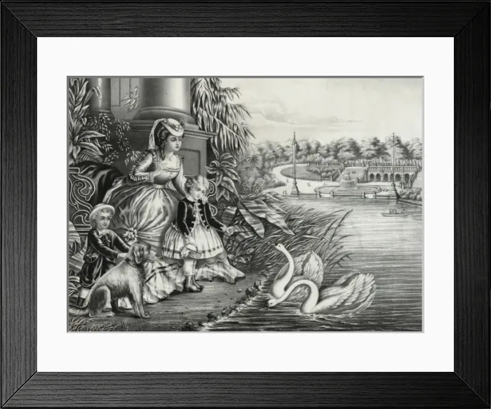 Framed Print : Central Park, N. Y. Feeding the swans Framed Print : Central Park, N. Y. Feeding the swans