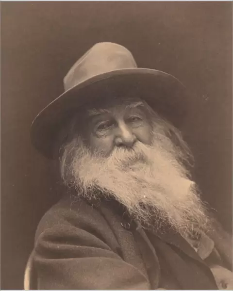 Walt Whitman, head-and-shoulders portrait, facing right, wea