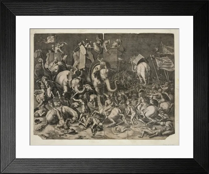 Framed Print : Aquila Framed Print : Aquila