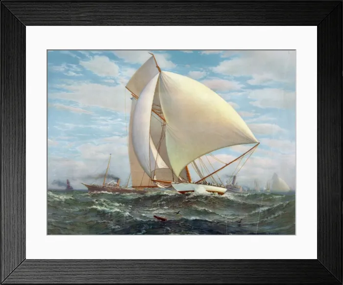 Framed Print : Flying defender Framed Print : Flying defender