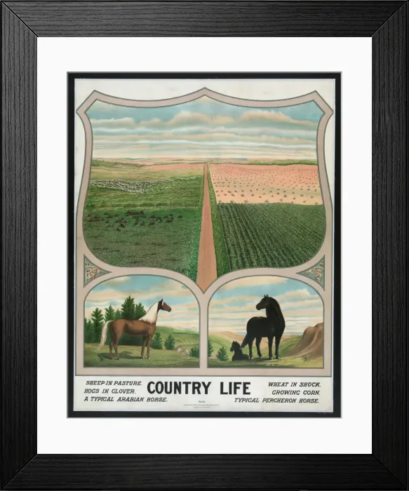 Framed Print : Country life Framed Print : Country life