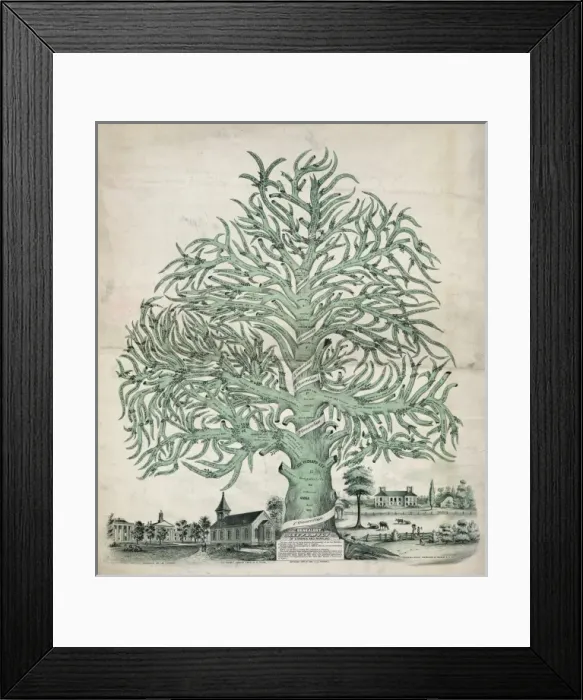 Framed Print : Genealogy. Lee family of Virginia and Maryland Framed Print : Genealogy. Lee family of Virginia and Maryland