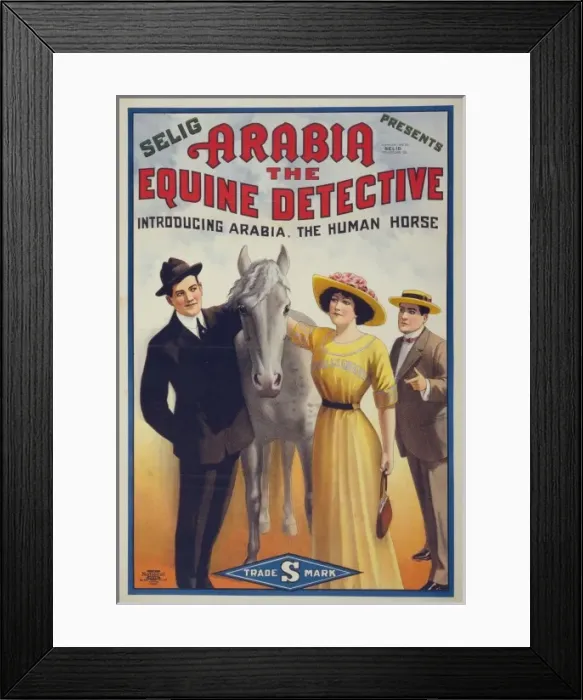 Framed Print : Arabia the equine detective Framed Print : Arabia the equine detective