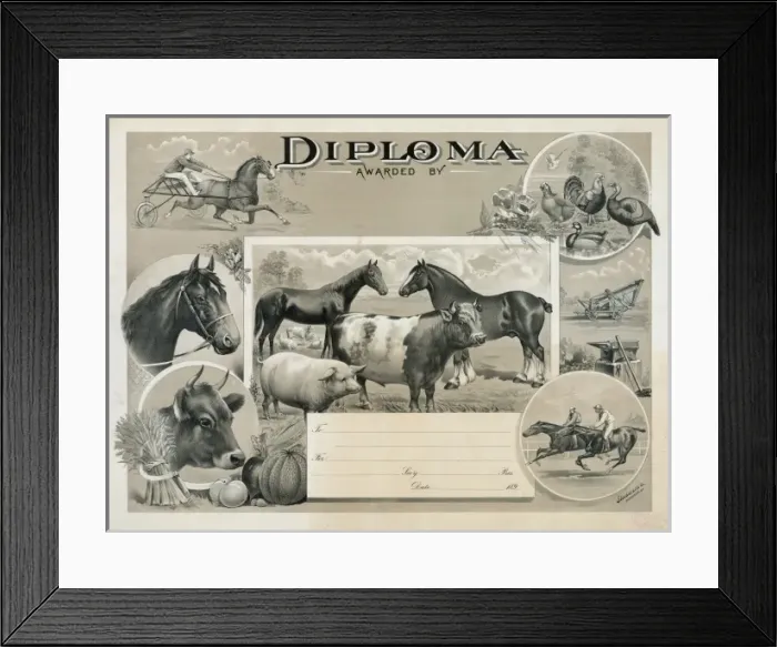 Framed Print : Diploma awarded by Framed Print : Diploma awarded by