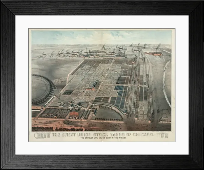 Framed Print : The Great Union Stock Yards of Chicago. The largest live sto Framed Print : The Great Union Stock Yards of Chicago. The largest live sto