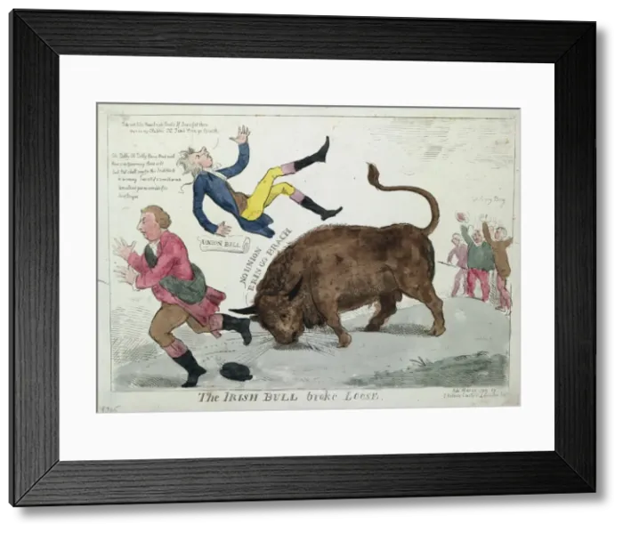 Framed Print : The Irish bull broke loose Framed Print : The Irish bull broke loose