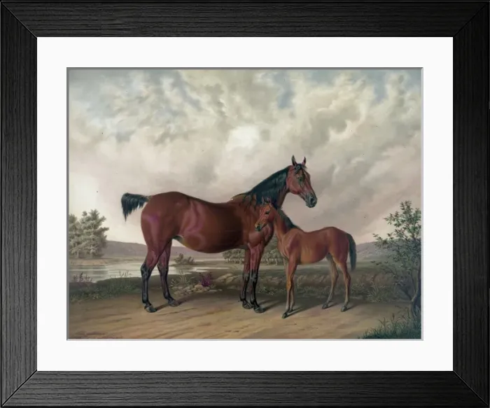 Framed Print : Flora Temple and her colt Framed Print : Flora Temple and her colt