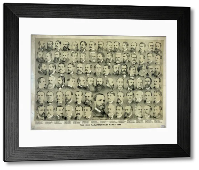 Framed Print : The Irish parliamentary party, 1886 Framed Print : The Irish parliamentary party, 1886