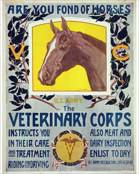 Are you fond of horses - US Army - The Veterinary Corps inst
