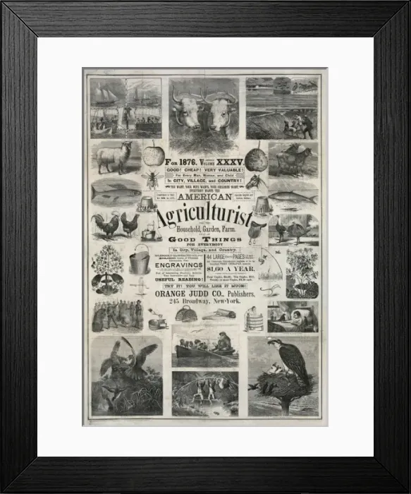 Framed Print : American agriculturist. Good things for everybody Framed Print : American agriculturist. Good things for everybody