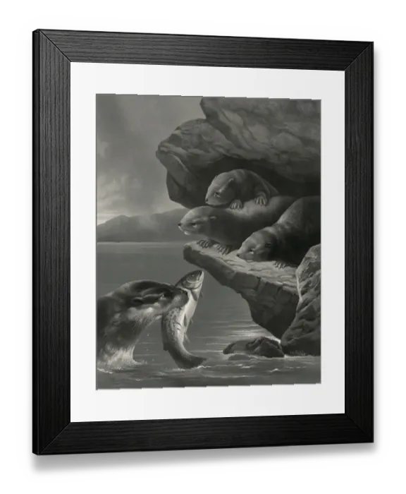 Framed Print : Little otters Framed Print : Little otters