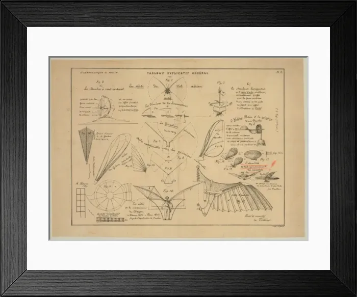 Framed Print : Tableau explicatif general. Les effets du vol aerien actif Framed Print : Tableau explicatif general. Les effets du vol aerien actif