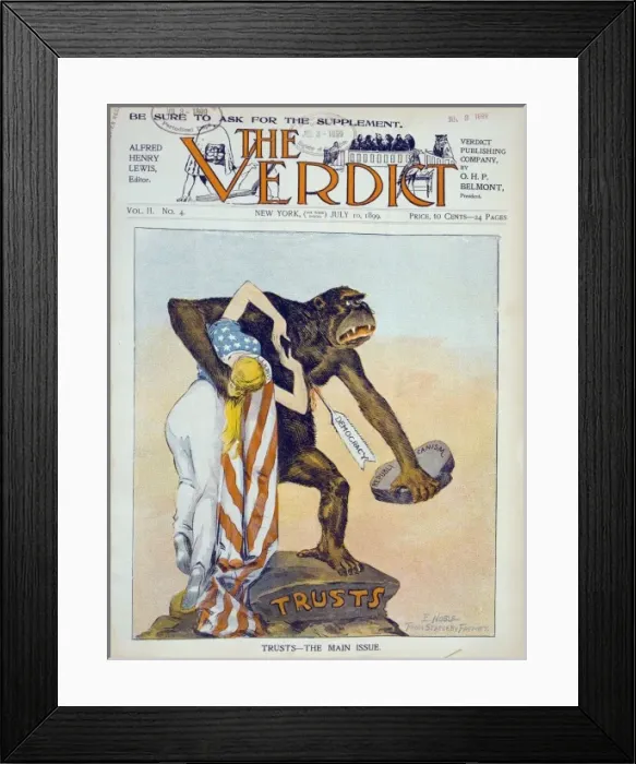 Framed Print : Trusts - the main issue Framed Print : Trusts - the main issue