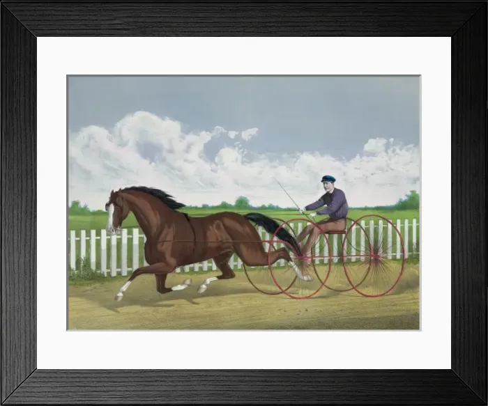 Framed Print : Dexter Framed Print : Dexter