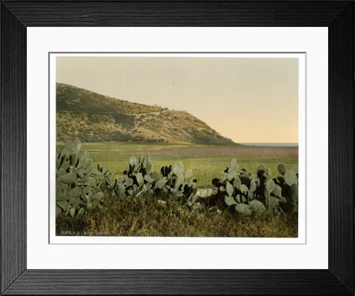 Framed Print : General view, Mount Carmel, Holy Land, (i. e. Israel) Framed Print : General view, Mount Carmel, Holy Land, (i. e. Israel)