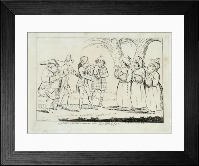 Framed Print : The commissioners interview with congress Framed Print : The commissioners interview with congress