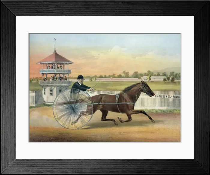 Framed Print : Lula, Rochester driving park Framed Print : Lula, Rochester driving park