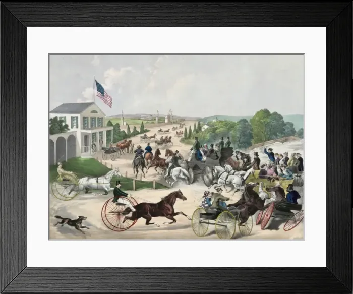 Framed Print : Going to the trot Framed Print : Going to the trot