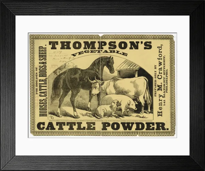 Framed Print : Thompsons vegetable cattle powder For diseases of horses, c Framed Print : Thompsons vegetable cattle powder For diseases of horses, c