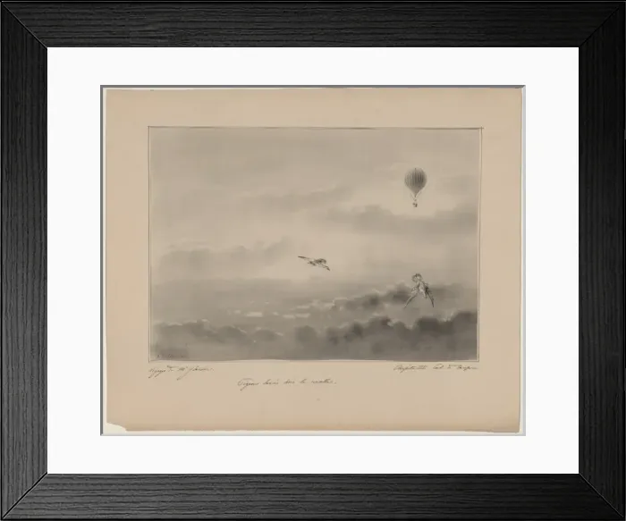 Framed Print : Pigeons lonces hors la nacelle Framed Print : Pigeons lonces hors la nacelle