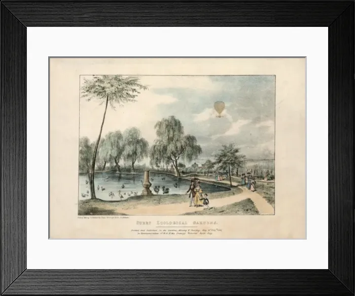 Framed Print : Surrey Zoological Gardens Framed Print : Surrey Zoological Gardens