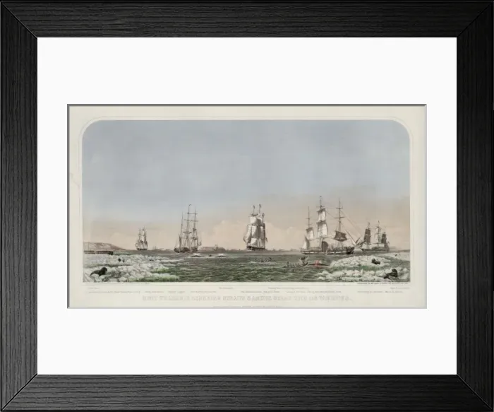 Framed Print : Right whaling in Behering Straits & Arctic Ocean with its va Framed Print : Right whaling in Behering Straits & Arctic Ocean with its va