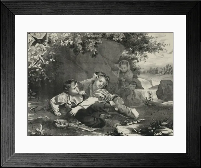 Framed Print : The struggle for the nest Framed Print : The struggle for the nest