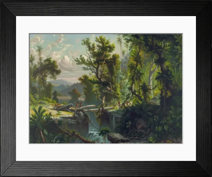 Framed Print : South American Forest Framed Print : South American Forest