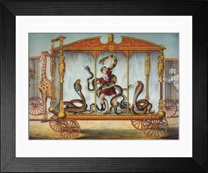 Framed Print : The snake wagon Framed Print : The snake wagon