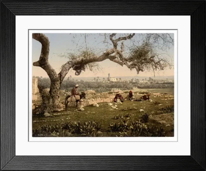 Framed Print : View from Southwest, Lydda, Holy Land, (i. e. Israel) Framed Print : View from Southwest, Lydda, Holy Land, (i. e. Israel)
