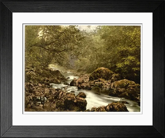 Framed Print : In the Dargle. County Wicklow, Ireland Framed Print : In the Dargle. County Wicklow, Ireland