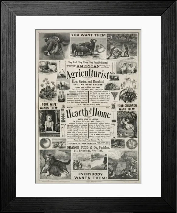 Framed Print : American agriculturist. Hearth and home Framed Print : American agriculturist. Hearth and home
