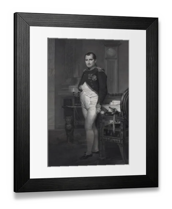 Framed Print : Napoleon Framed Print : Napoleon