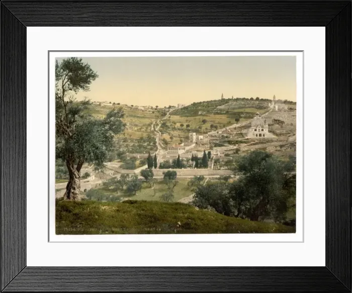 Framed Print : Mount of Olives and Gethsemane, general view, Jerusalem Framed Print : Mount of Olives and Gethsemane, general view, Jerusalem