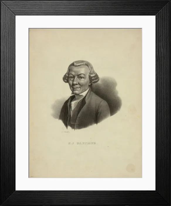 Framed Print : PJ Barthez Framed Print : PJ Barthez
