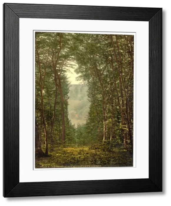 Framed Print : The Zauberhole and the Schweizerhaus, Niederwald Monument, t Framed Print : The Zauberhole and the Schweizerhaus, Niederwald Monument, t