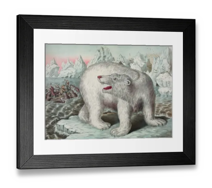 Framed Print : Polar bear Framed Print : Polar bear