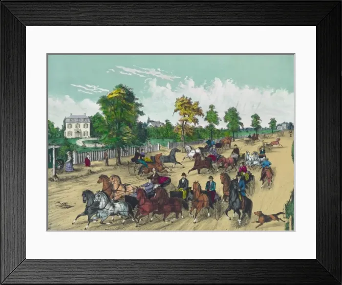 Framed Print : Going to the trot