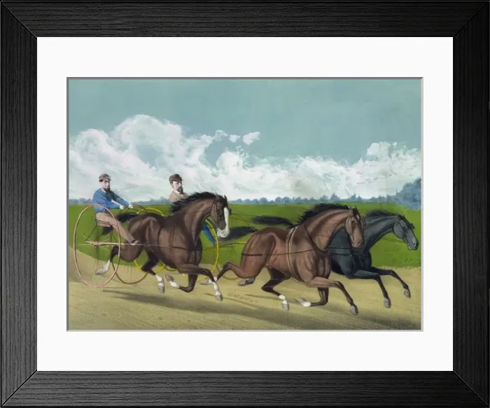 Framed Print : Dexter, Ethan Allen and mate Framed Print : Dexter, Ethan Allen and mate