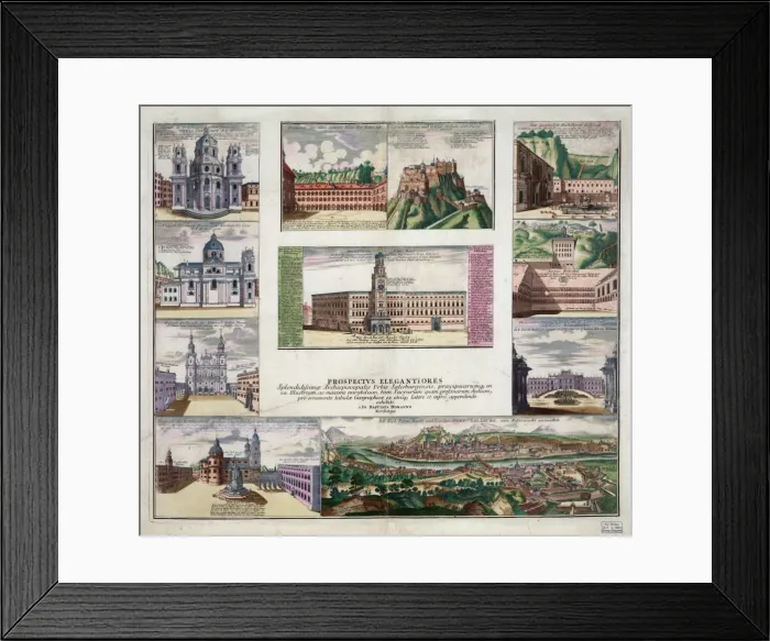 Framed Print : Prospectus elegantiores Framed Print : Prospectus elegantiores