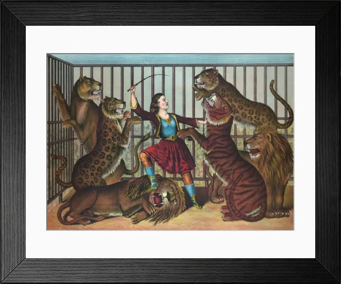 Framed Print : The lion queen Framed Print : The lion queen