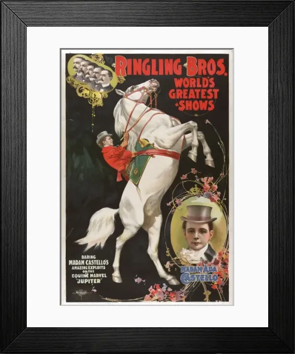 Framed Print : Ringling Bros. Worlds Greatest Shows - Madam Ada Castello Framed Print : Ringling Bros. Worlds Greatest Shows - Madam Ada Castello