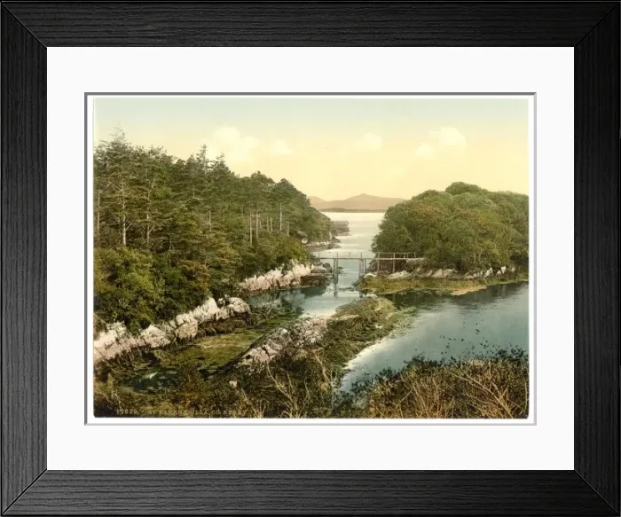 Framed Print : At Parknasilla. County Kerry, Ireland Framed Print : At Parknasilla. County Kerry, Ireland