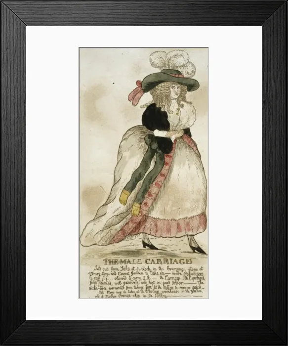 Framed Print : The male carriage Framed Print : The male carriage
