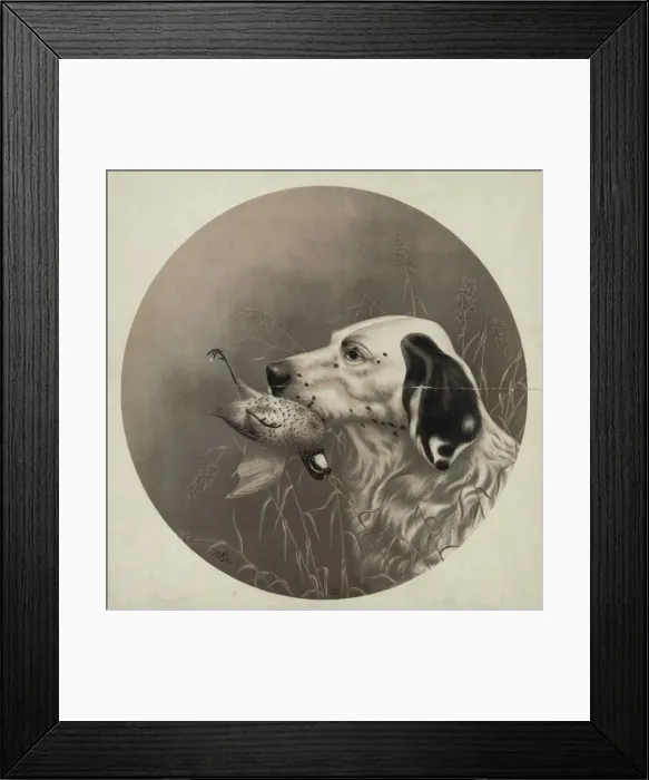Framed Print : Dog with bird in mouth