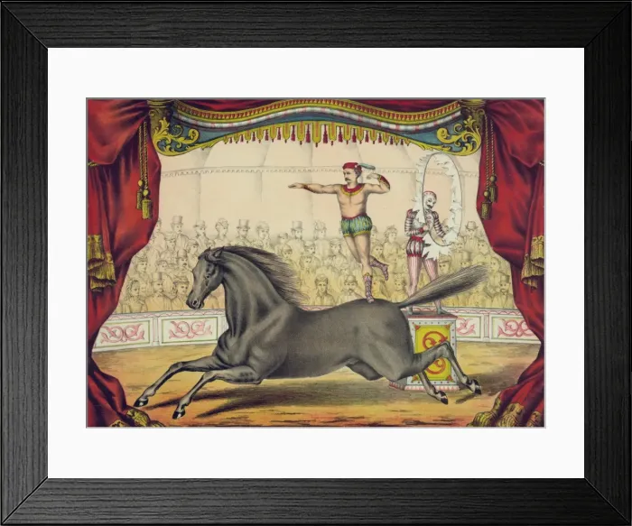 Framed Print : Male principal Framed Print : Male principal