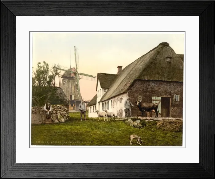 Framed Print : The mill at Munkmarsch, Sylt, Schleswig-Holstein, Germany Framed Print : The mill at Munkmarsch, Sylt, Schleswig-Holstein, Germany