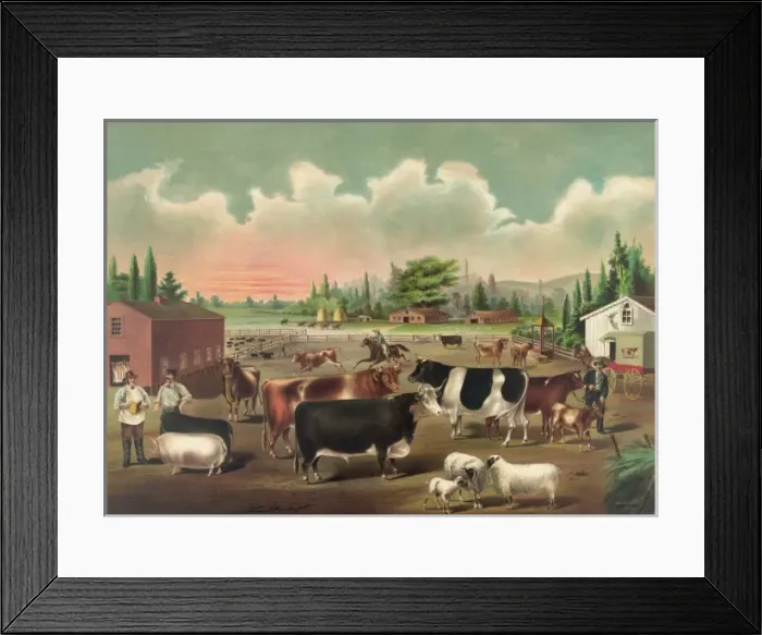 Framed Print : Butchers delight Framed Print : Butchers delight